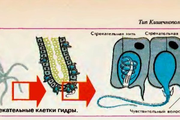 Кракен телегрф