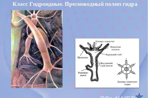 Кракен даркнет только через стор