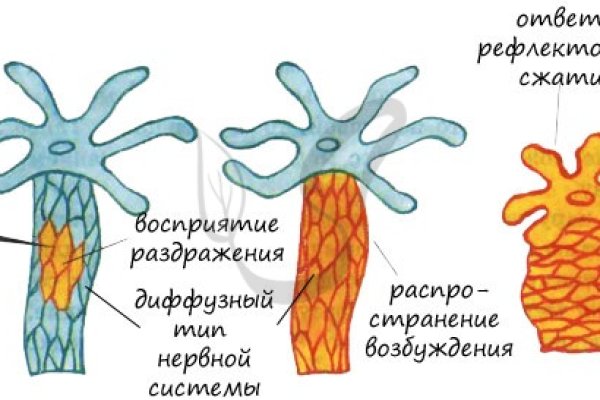 Браузер для кракен