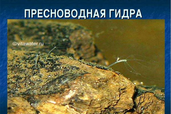 Ссылка на кракен в браузере