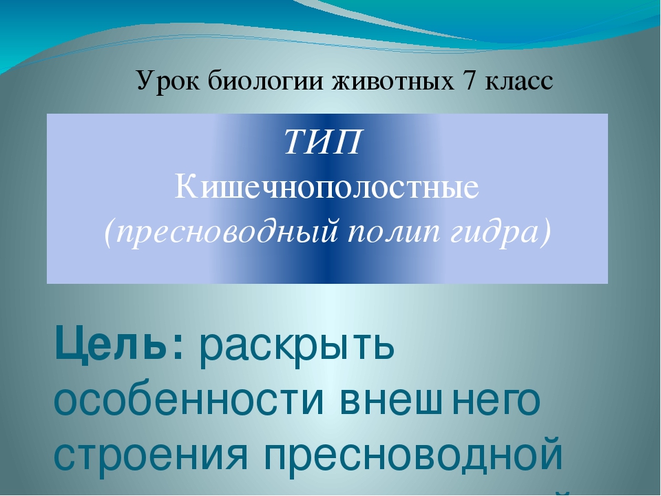 Kra34cc
