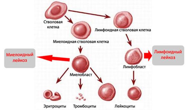 Кракен ссылки онлайн