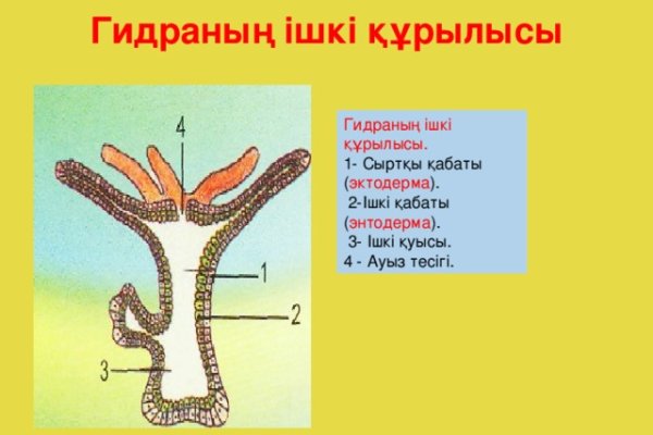 Кракен вход официальный сайт